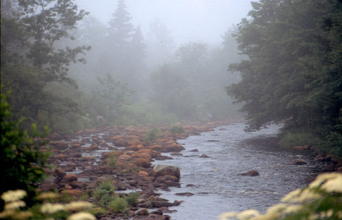 Petite Riviere Bridge, Nova Scotia